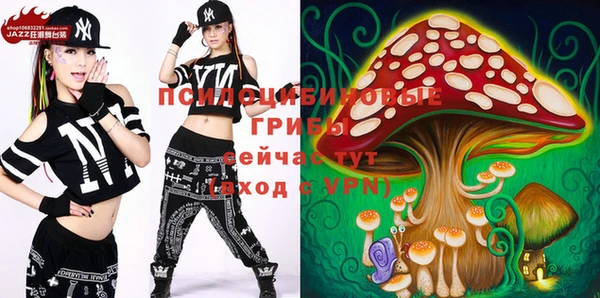 мдпв Абдулино