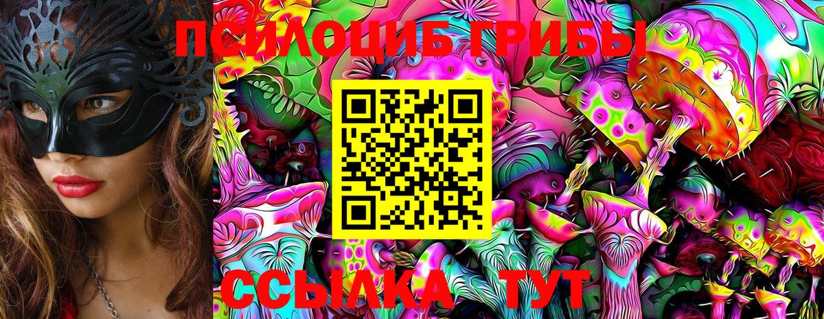 Отрадный  Галлюциногенные грибы Psilocybe  Вход с VPN  сколько стоит  Галлюциногенные грибы GOLDEN TEACHER 